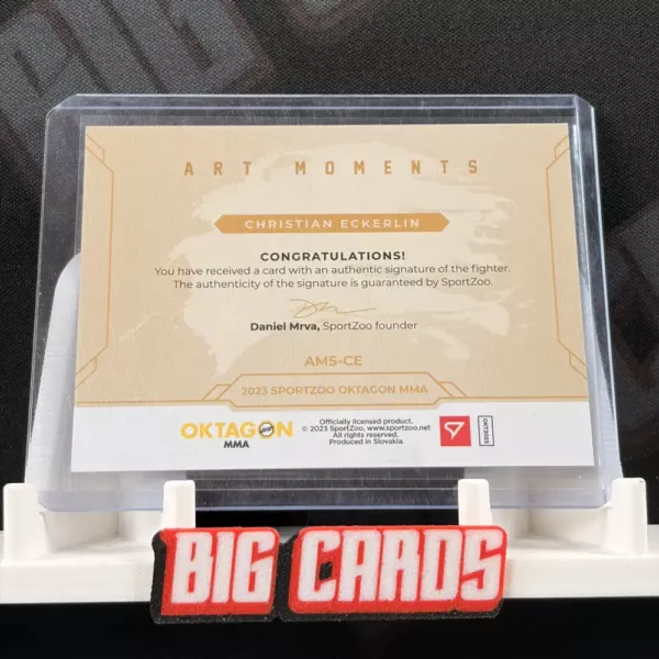 Christian Eckerlin - Oktagon MMA - obrazek 2