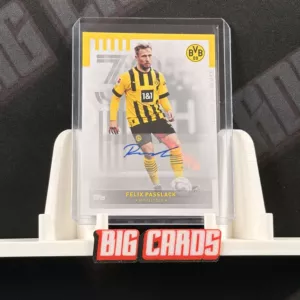 Felix Passlack - Topps Helden Von Heute