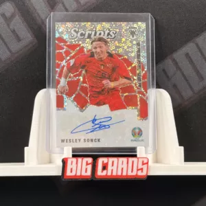 Wesley Sonck - Panini Mosaic