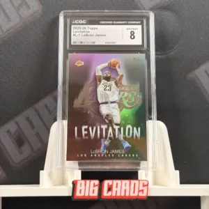 LeBron James - Topps Series 1