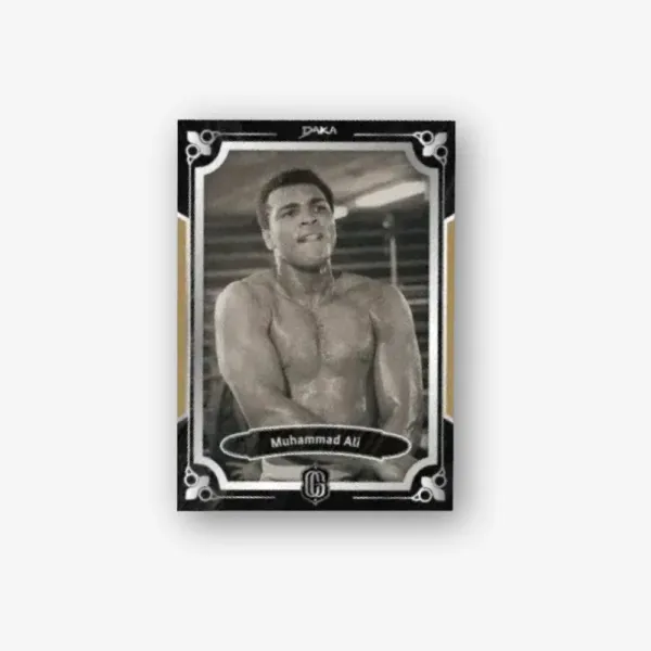 DAKA Century Glory Hobby Box - obrazek 4
